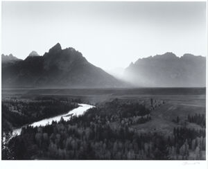 Silver bromide print on paper