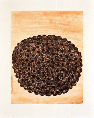 Spit bite aquatint, and soft ground etching, printed in two colors on Hahnemuhle