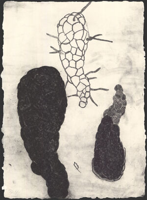 Lithograph on moulin de verger handmade paper