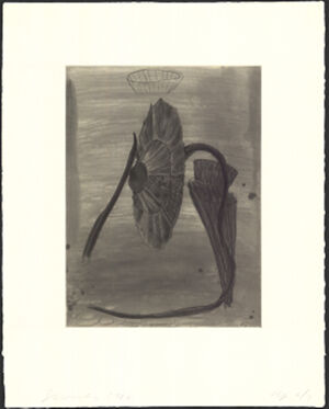 Soft ground etching and spit bite aquatint on Torinoko Gampi Paper Laid Down On 