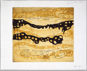 Hand drawn mylar gravure,etching, sugar lift aquatint, spit bite etching and ope