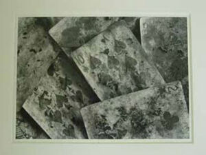 Gelatin silver print