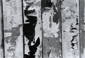 Gelatin silver print