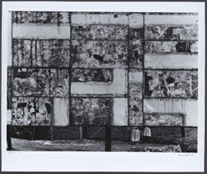 Gelatin silver print