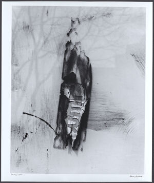 Gelatin silver print