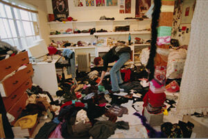 Silver dye bleach print