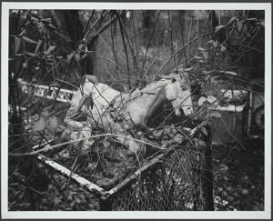 Toned silver print