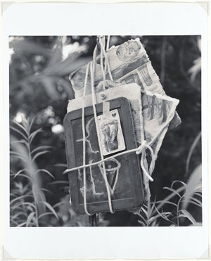 Toned silver print