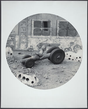 Toned silver print