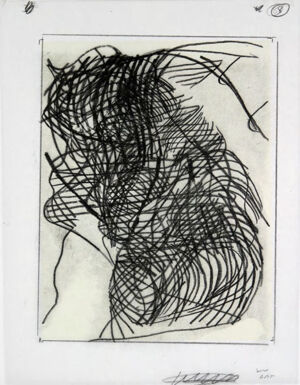 One of 42 lithographs with text by Ben Marcus  on Chartum Natural Translucent pa
