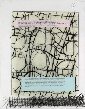 One of 42 lithographs with text by Ben Marcus  on Chartum Natural Translucent pa