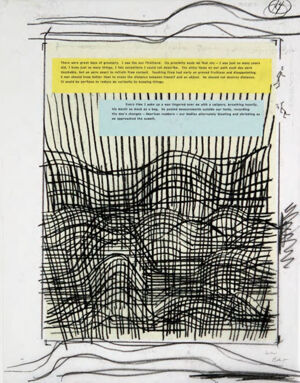 One of 42 lithographs with text by Ben Marcus  on Chartum Natural Translucent pa