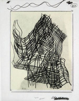 One of 42 lithographs with text by Ben Marcus  on Chartum Natural Translucent pa