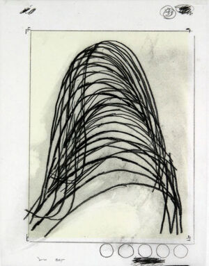 One of 42 lithographs with text by Ben Marcus  on Chartum Natural Translucent pa