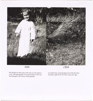 Archival digital c print on paper