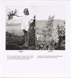 Archival digital c print on paper