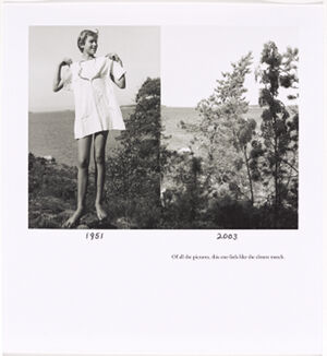 Archival digital c print on paper