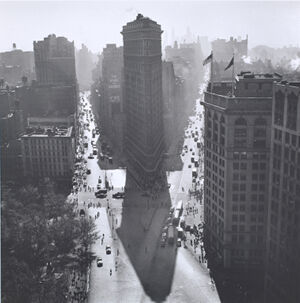 Gelatin silver print