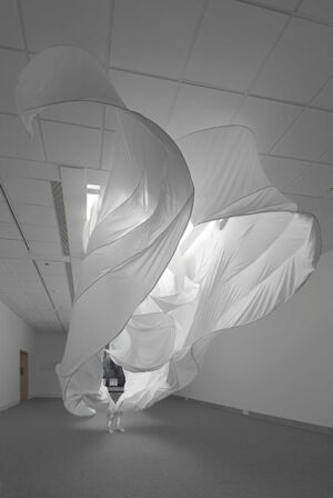 cloth and wire armature, glass, plexi, sound, video