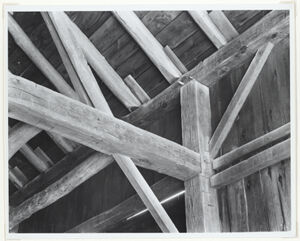 Gelatin silver print