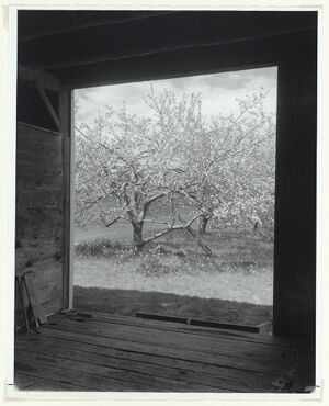 Gelatin silver print
