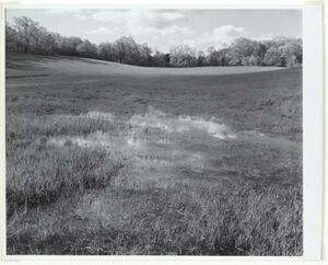 Gelatin silver print