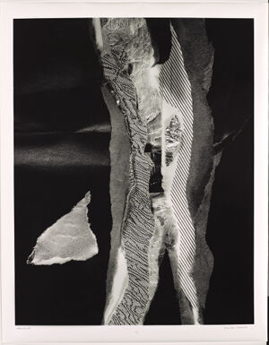 Gelatin silver print