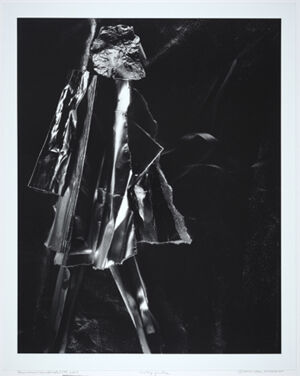 Gelatin silver print