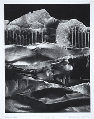 Gelatin silver print