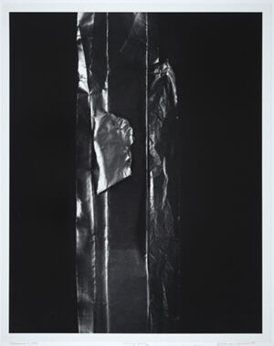 Gelatin silver print