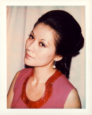 Polacolor Type 108 on paper