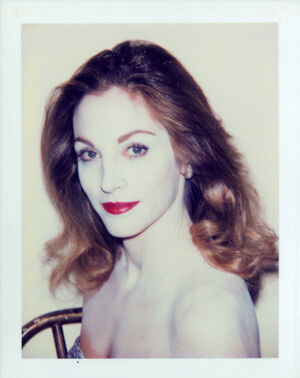 Polacolor ER on paper