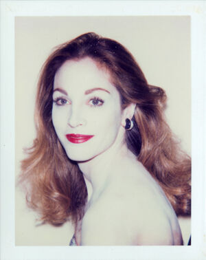 Polacolor ER on paper