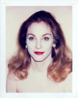 Polacolor ER on paper