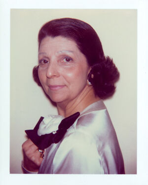 Polacolor ER on paper