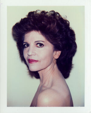 Polacolor ER on paper