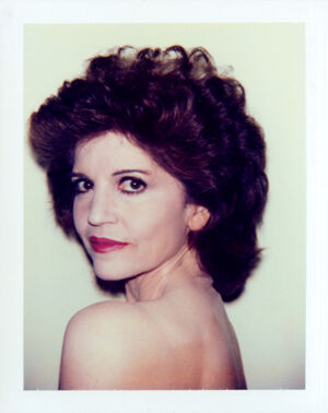 Polacolor ER on paper