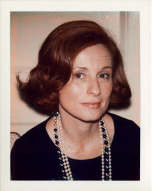 Polacolor Type 108 on paper