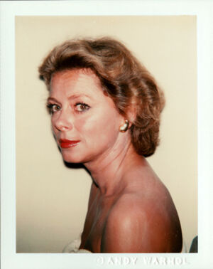 Polacolor Type 108 on paper