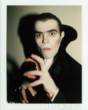 Polacolor 2 on paper