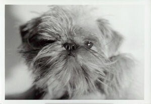 Black and white photograph on paper