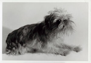 Black and white photograph on paper