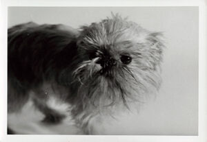 Black and white photograph on paper