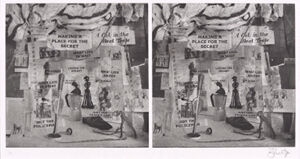 Stereoscopic photogravure on paper