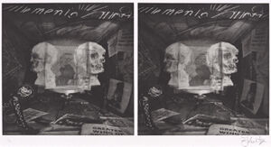 Stereoscopic photogravure on paper