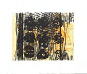 Photogravure and spit bite aquatint on paper