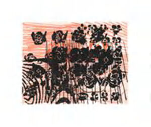 Photogravure and spit bite aquatint on paper