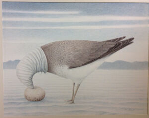 Colored pencil on paper