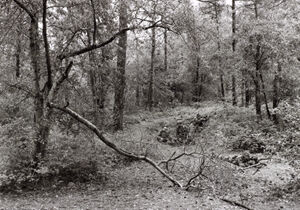 Gelatin Silver Print