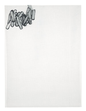 gel medium on gridded mylar